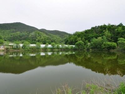 싸리재저수지 썸네일 이미지