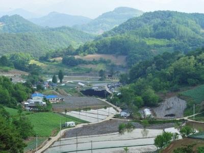 도전리[수산면] 썸네일 이미지