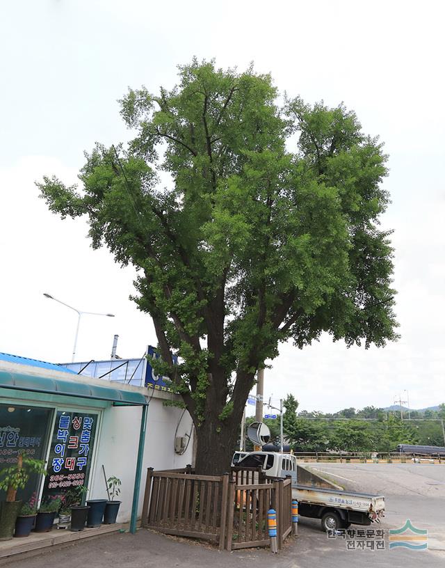 대표시청각 이미지