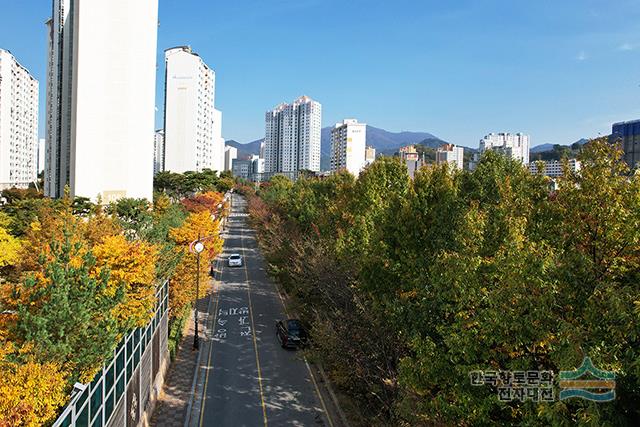 대표시청각 이미지